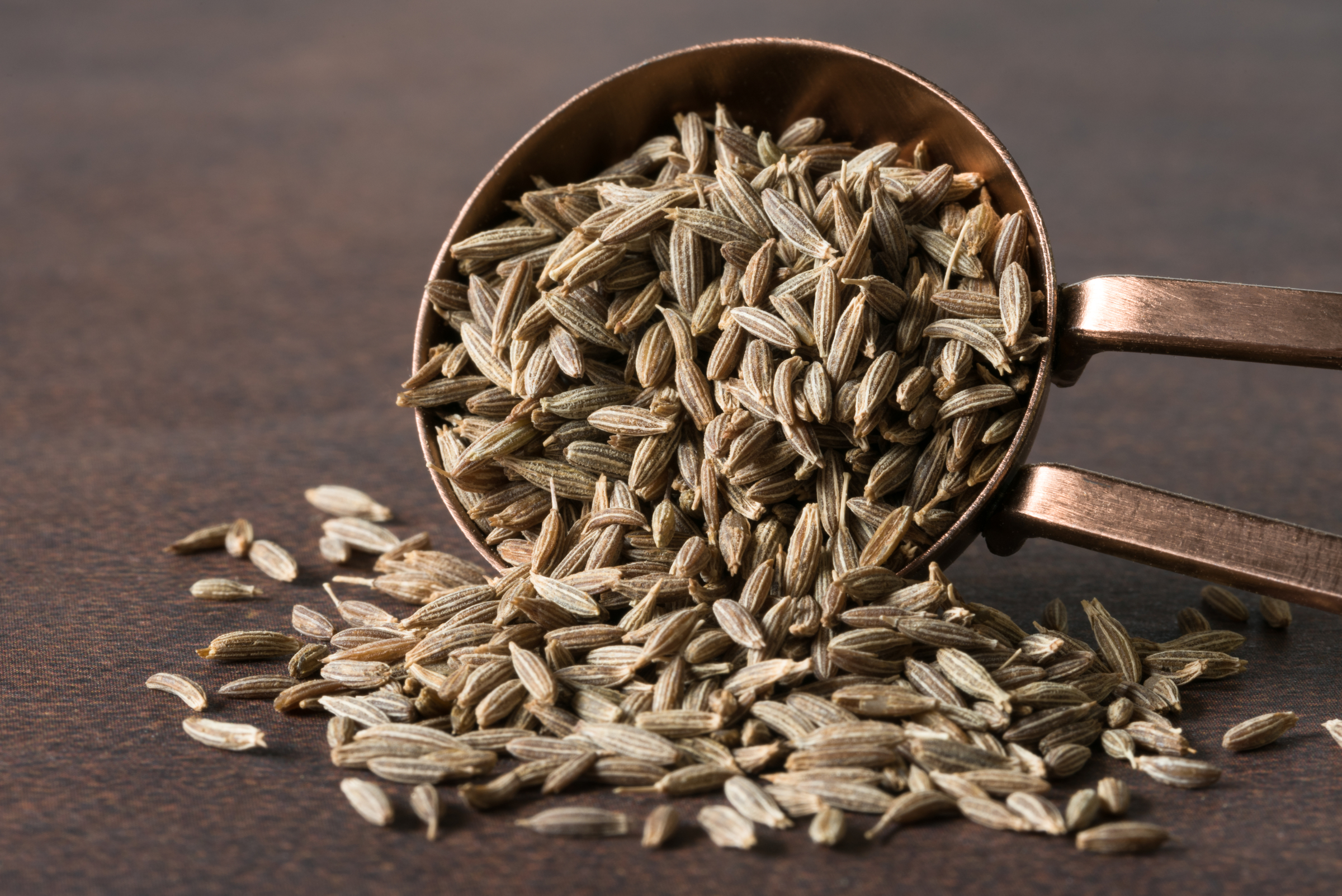 large vecteezy_cumin seeds spilled from a teaspoon_14145139_large