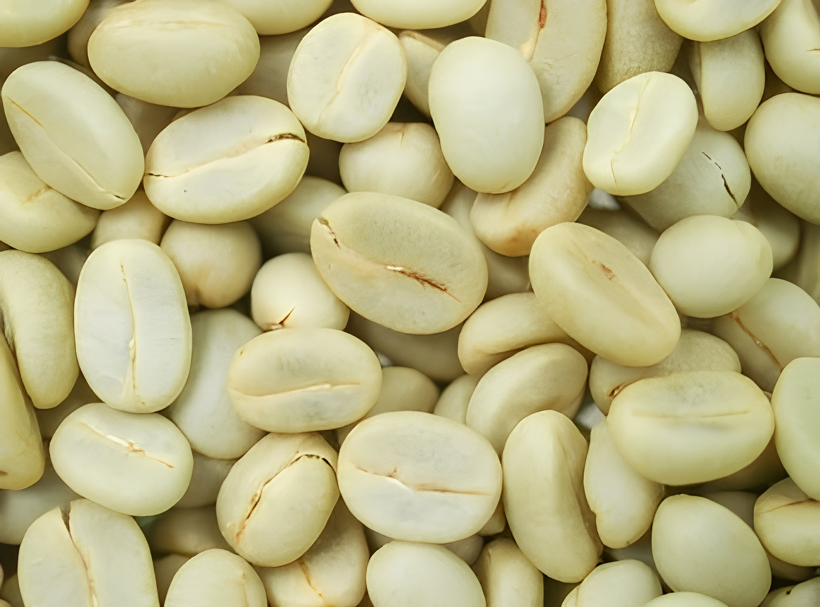 Coffee Parchment
