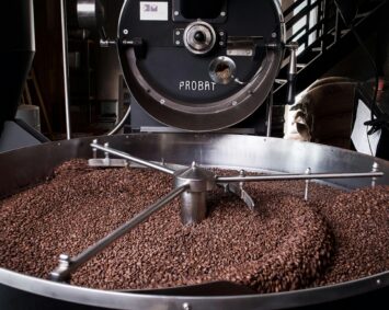 A detailed image of coffee beans cooling in a Probat roasting machine indoors.