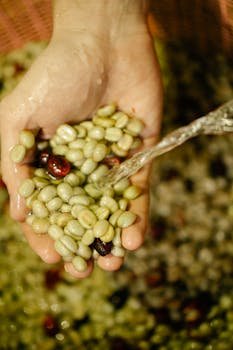 Coffee Processing