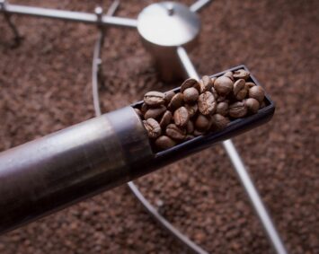 A detailed view of freshly roasted coffee beans inside a coffee roasting machine.