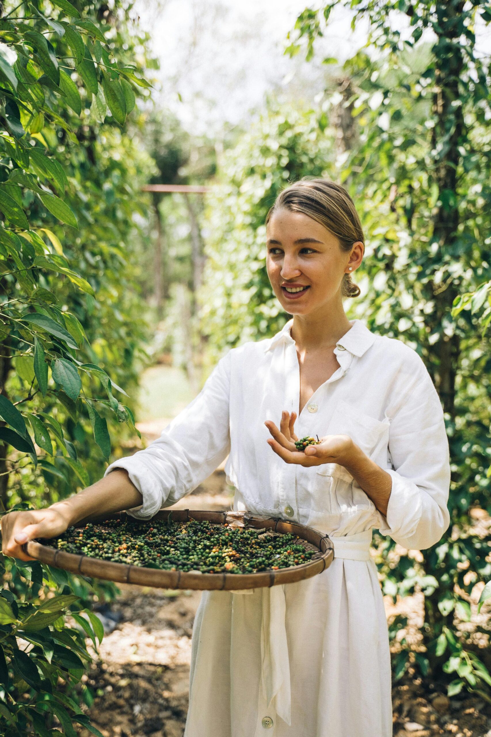 A young woman harvesting peppers in a sunlit outdoor pepper farm, exuding joy and nature's bounty.