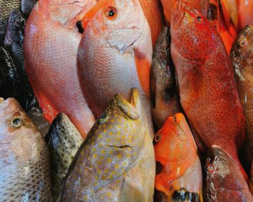 A vibrant close-up of various fresh fish at a seafood market, showcasing their natural colors.