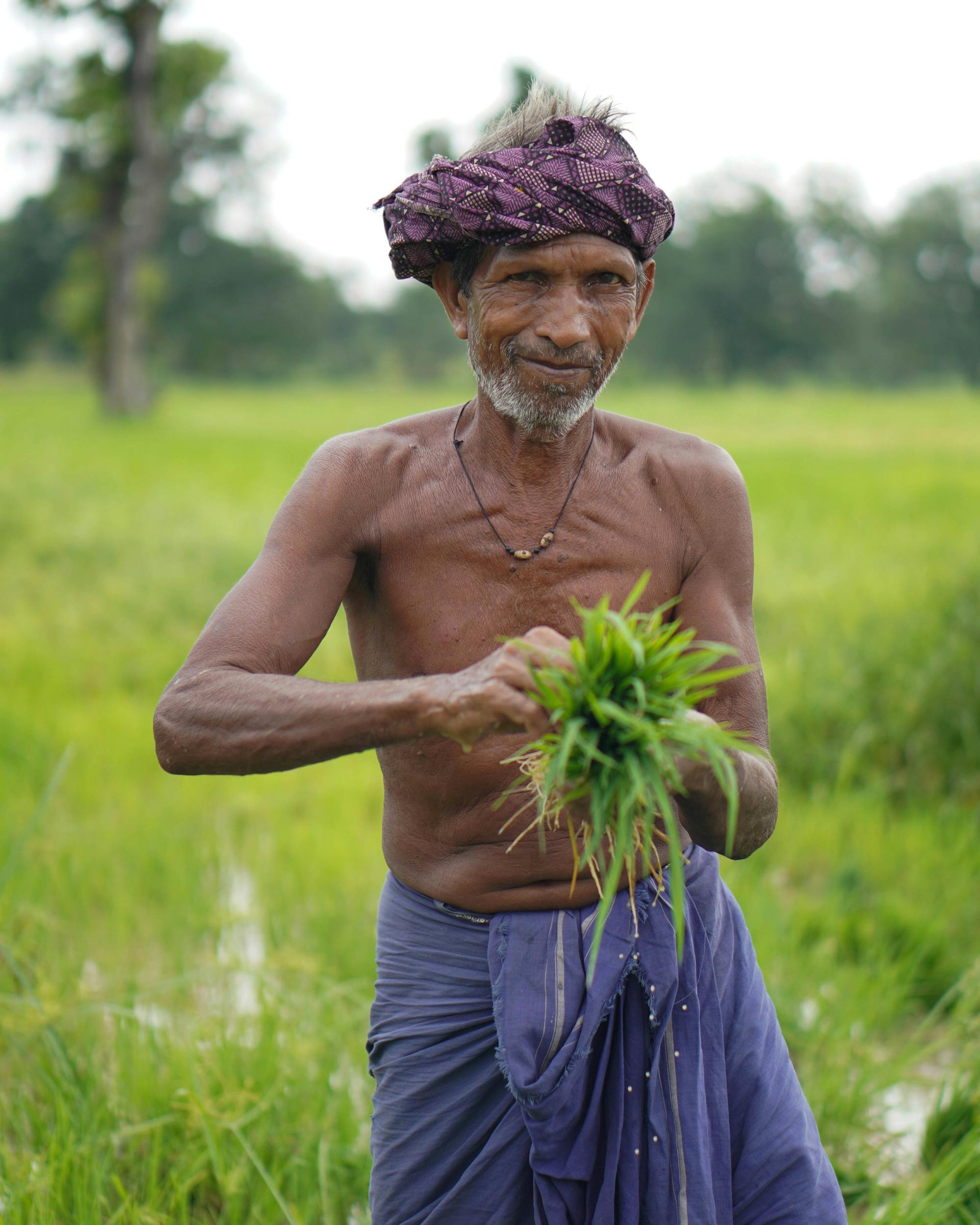 Portrait of an Indian farmer in CT, India, working the lush green fields.