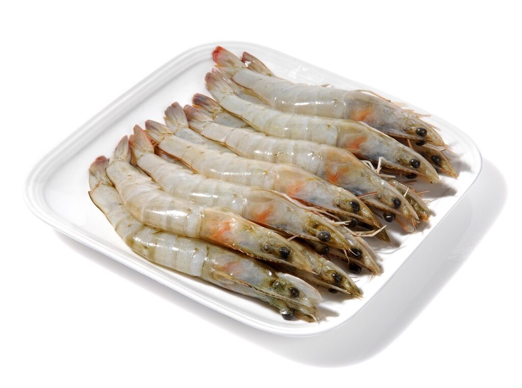 shrimp, nature, ocean, crustaceans