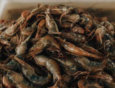A close-up of a pile of fresh raw shrimps in a market in Belém, Brazil.