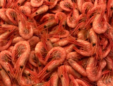 A vibrant display of prawns featured in Göteborg’s local fish market, Sweden.