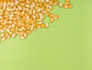A close-up of corn kernels scattered on a green background, providing ample copy space.