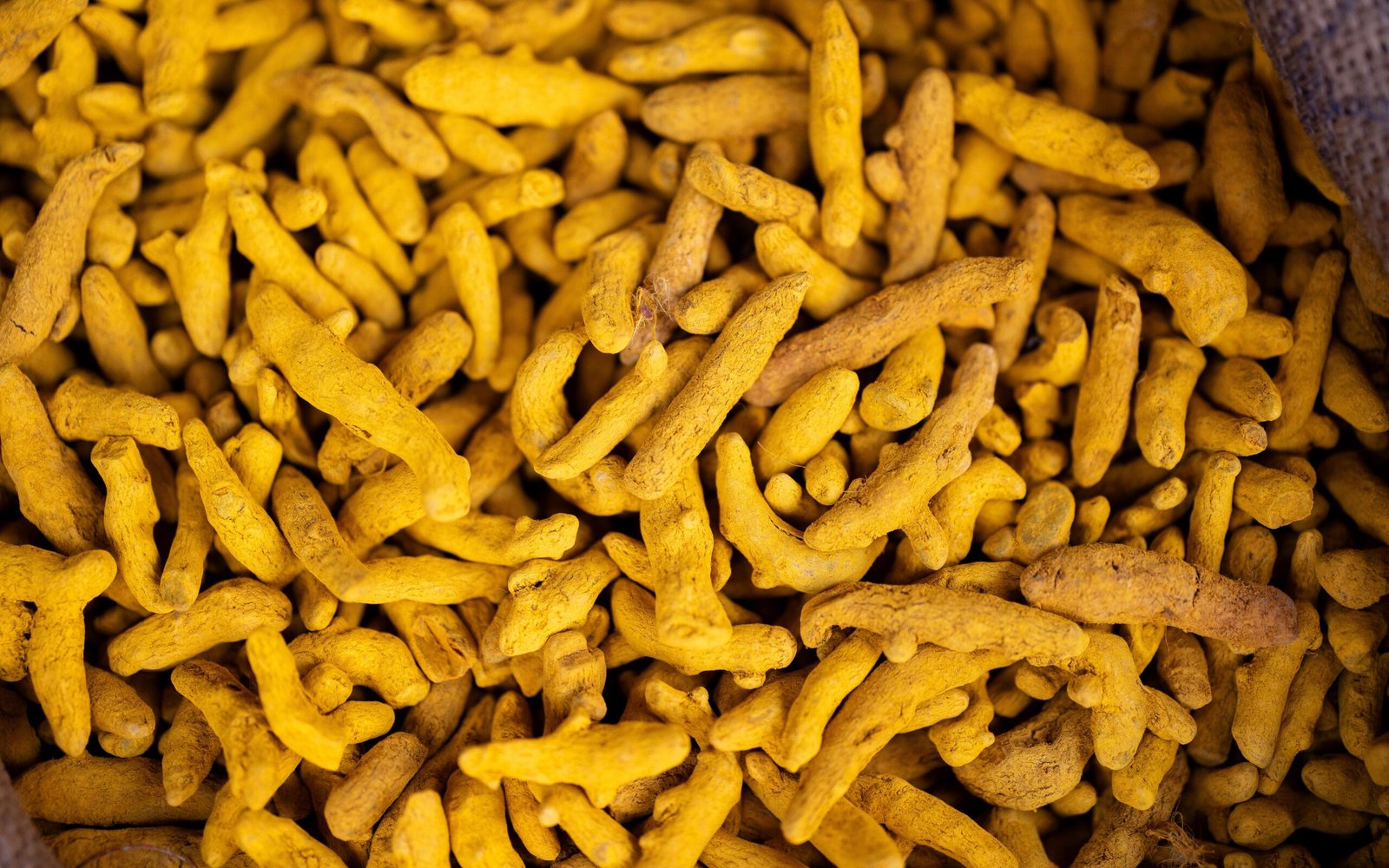 Turmeric Finger