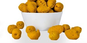 51pWxAdOyIL._AC_UF1000,1000_QL80_