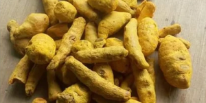 dried-turmeric-finger-500x500