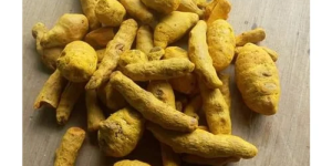 dried-turmeric-finger-500x500
