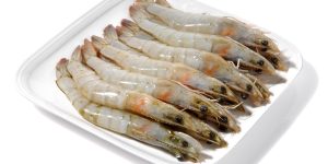 shrimp, nature, ocean, crustaceans
