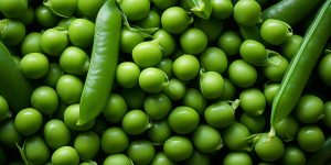 large-vecteezy_a-pile-of-fresh-green-pea-pod-form-the-background-shown_49082734_large