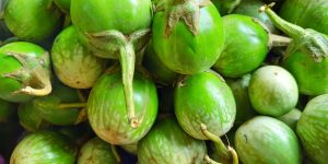 large-vecteezy_a-pile-of-fresh-green-thai-egg-plant-is-usually-called_51565555_large