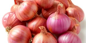 Shallot on white isolated background AI generated image