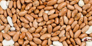 Background of kidney bean seeds