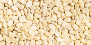 food background - many raw urad dal (split black gram) beans close up