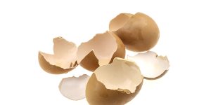 Beaten egg shell isolated over white background, concept for no zero score
