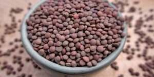 large-vecteezy_brown-lentils-sabut-masoor-in-a-blue-bowl-rustic-close-up_55934047_large (1)