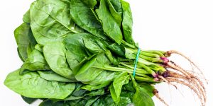 bunch of fresh cut spinach herb on white background