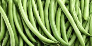 Close up Lots of green beans. green beans fresh vegetable background concept.