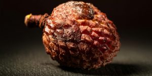 large-vecteezy_close-up-of-a-decayed-lychee-fruit-with-cracked-textured_54053518_large