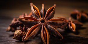 Close up of an anise star. Generated ai.