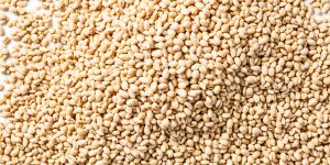 A close-up shot of a pile of peanuts in the shell. The peanuts are arranged in a random pattern and have a natural, creamy color. The image is taken from a high angle and has a shallow depth of field, with the peanuts in the foreground being in sharp focus and those in the background being slightly blurred. This image is perfect for use in food blogs, cookbooks, and advertising campaigns for peanut products. SSUCv3H4sIAAAAAAAACpySwW7DIAyG75P2DhHnRipNlpK9SrWDA6RBpRAB6TRVffcZSCJ23S3+bP/2j/N8f6sqMoBXnHxWzxhhrLRefHAQlDWIj4eVO2mEdCV5uKY7lgBUGUmhgnUKdAkHCHwycJcIzaJ1xK+UJD5AWLz0cZcVcQjyihoZ7hJ54UuOqy2RktiBKUIOBfPLkNiGsvi/OvPH1274Kg3/SQsXRpzUErKRSy4lt+8g3b20BotQtnD1sBx0LGgKJVAzOPjTNzvFlbkWxIYp3WVT4nYxwcWtdjNEWzvDoOOrjzhGbnwC77FcbLyYzfEvsPdijrEheVpVicDjxJA2TUfpuWNtx/pzc+pPa0E+6KRQJ62zCWHMb0qUrlTcgPQja1omaD2coa9b2rKacQn1B4W+ZThnpBxv8foFAAD//wMAjVy9tbkCAAA=