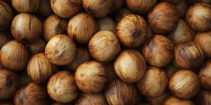 Coconut fruit pattern tropical farm agriculture background