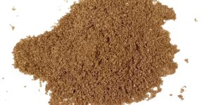 large-vecteezy_coriander-powder-isolated-on-white-background_53781798_large