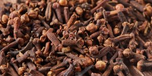 Dried spice herbs cloves for flavoring foods and natural medicines, Indian spice ingredient on wooden background.