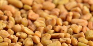 Fenugreek seeds as background. Close up texture