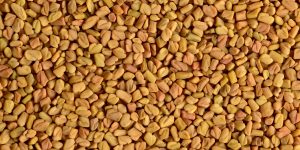 Fenugreek seeds as background. Close up texture