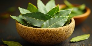 Fresh bay leaves in rustic wooden bowls. Green bay leaves are arranged neatly in natural wooden bowls, showcasing their vibrant color and texture.