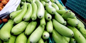 Freshly harvested , Bottle Gourd For Sale At Market Stall in india
