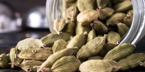 Michelle Lee Photography