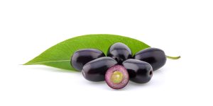 Jambolan plum or Java plum isolated on white background