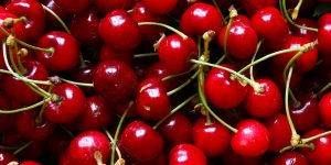 Photography of cherries for food background