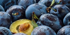 Plums and prunes halves, background of fresh organic fruits in water drops, close-up. Selective focus, shallow depth of field.Beautiful ripe prunes, fruit harvesting in autumn, eco-products