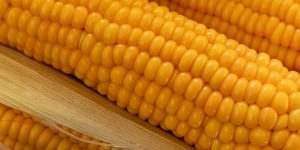 large-vecteezy_ripe-yellow-corn-grains-close-up_54985409_large
