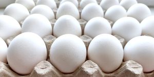 Rows of white chicken eggs in a cardboard box. Eggs background. Farming and agriculture concept.