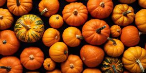 AI Generated. AI Generative. Yellow fresh small pumpkins. Halloween thanksgiving autumn october vegetable. Graphic Art Illustration