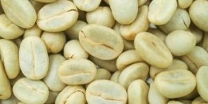 parchment-coffee-bean