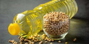 steptodown.com244699