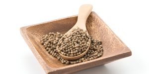 steptodown.com319504