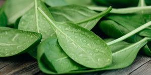 steptodown.com592454