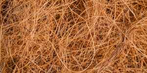 steptodown.com599880