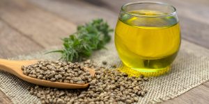 steptodown.com613529