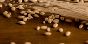 steptodown.com770157